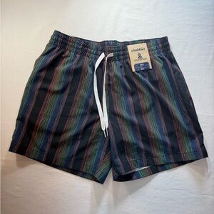 chubbies Black Swim Trunks with Green and Blue Vertical Stripes